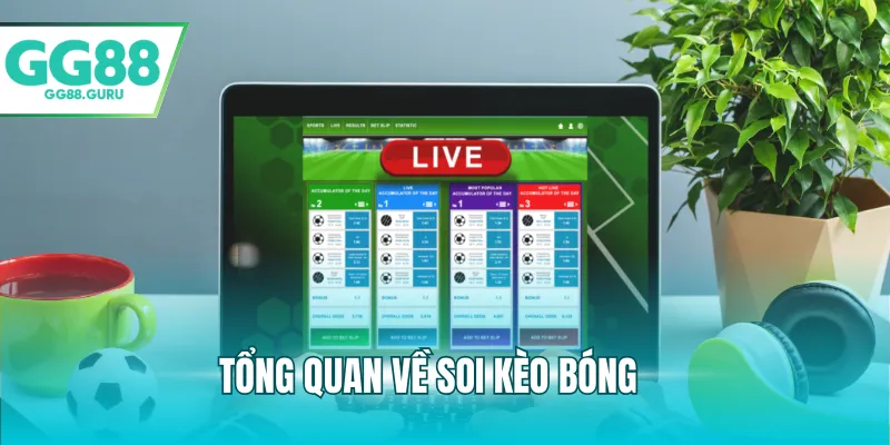 Tổng quan về soi kèo bóng